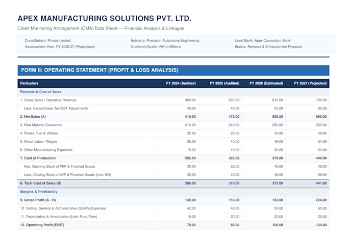 audit cma data and optimize your corporate bank loan proposal